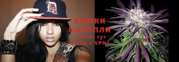 ECSTASY Абаза