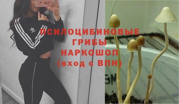 ECSTASY Абаза