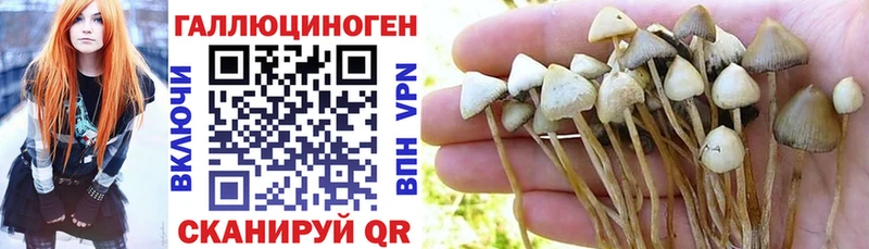 кракен рабочий сайт  Иланский  Галлюциногенные грибы мицелий  где можно купить  